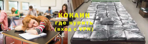 стафф Вяземский